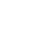 R21-Icon2.png