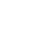 R21-Icon7.png